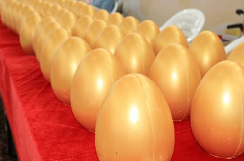 現(xiàn)代日用百貨城全新亮相，浙江食品市場再添消費(fèi)新地標(biāo)