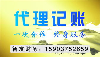 平頂山代理記賬與代理代辦服務 企業高效運營的得力助手